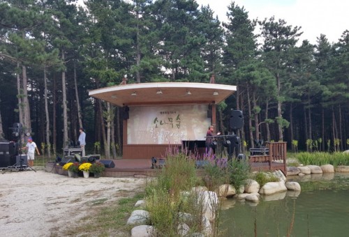 속초 소나무숲 힐링콘서트
