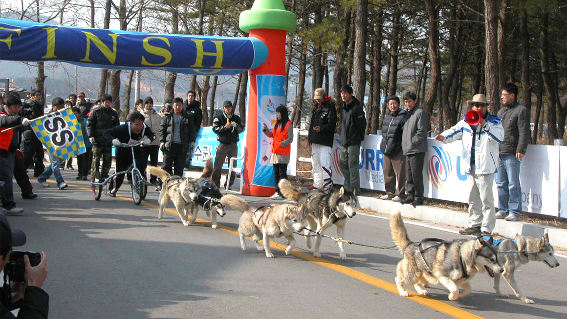 고성 개썰매 대회