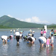 송지호 제첩축제