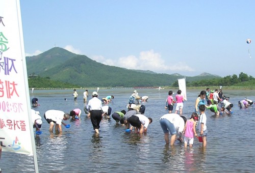 송지호 제첩축제