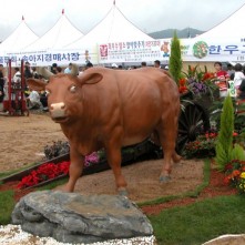 횡성한우축제