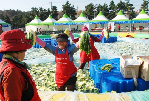 대한민국 아줌마 대축제