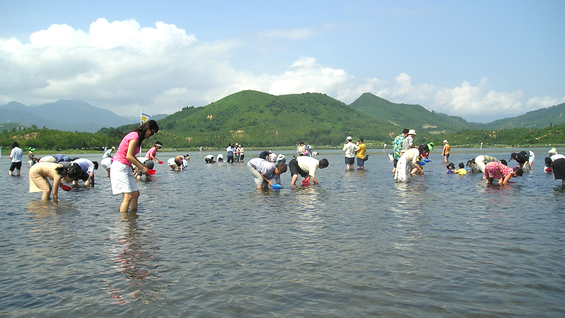 송지호 제첩축제