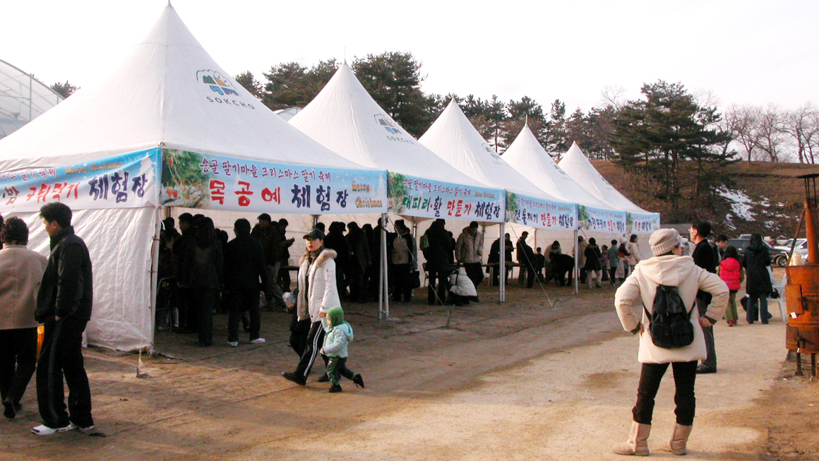 응골마을 크리스마스 딸기축제