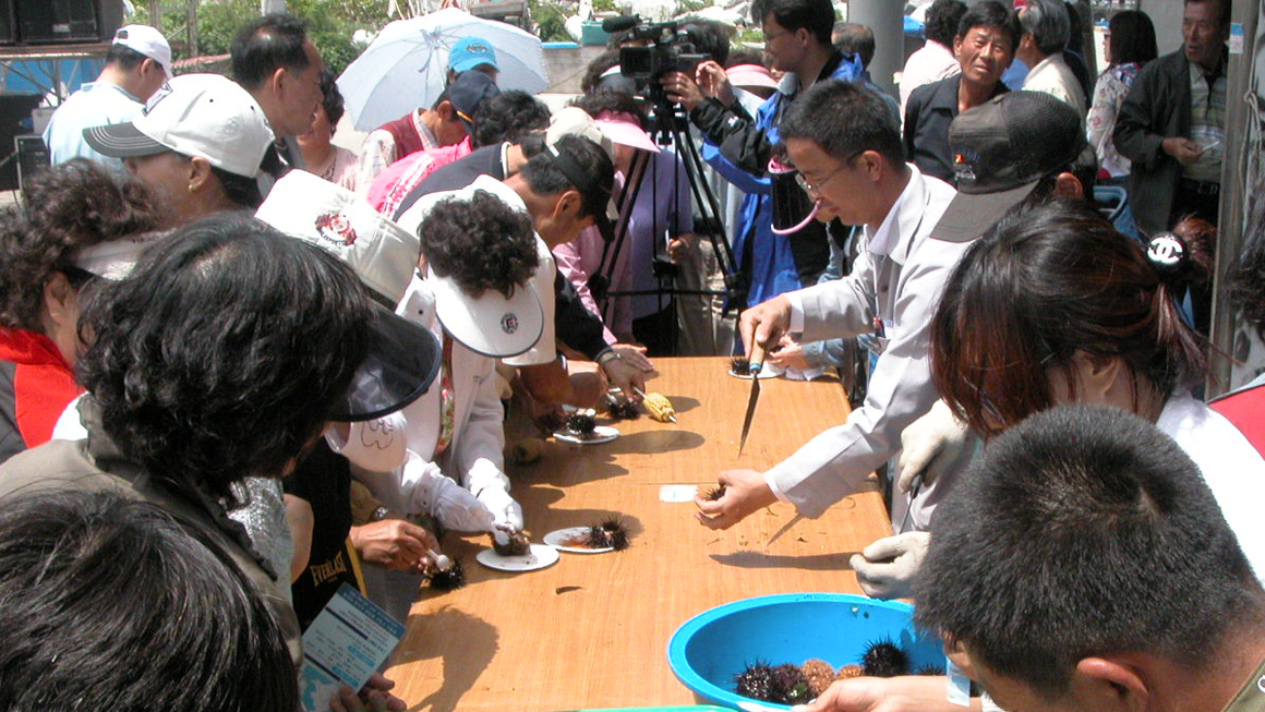 화진포 초도리 성게바다축제