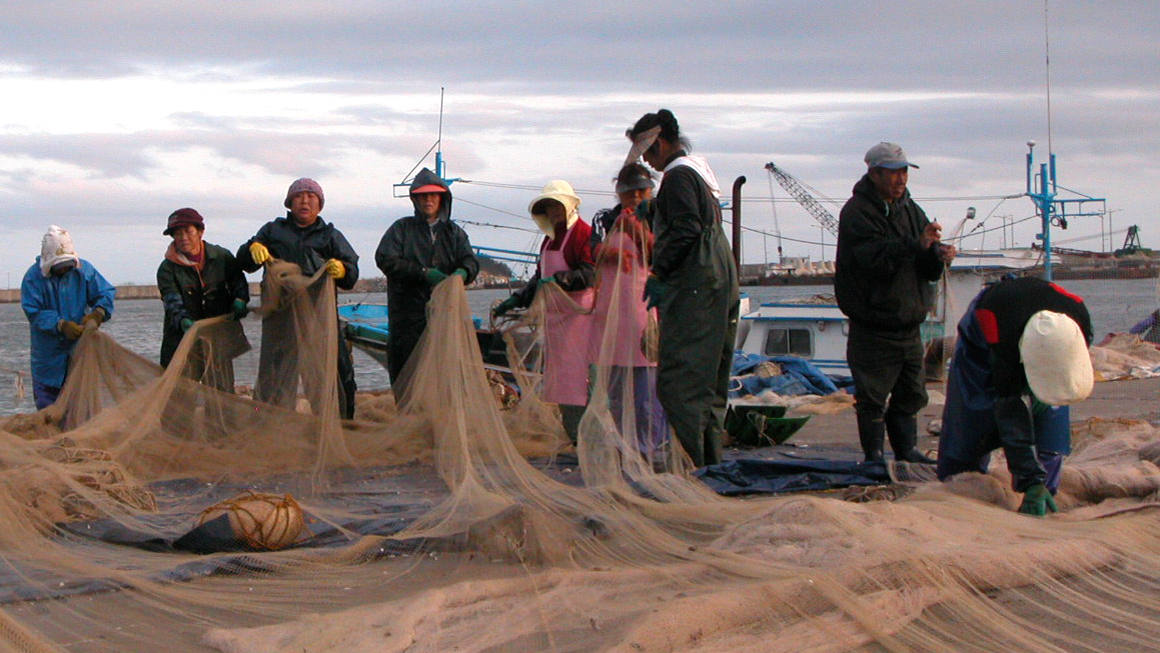 속초 양미리축제