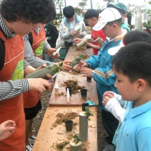 콩꽃마을봄소풍