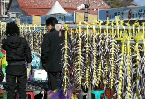 속초 양미리축제