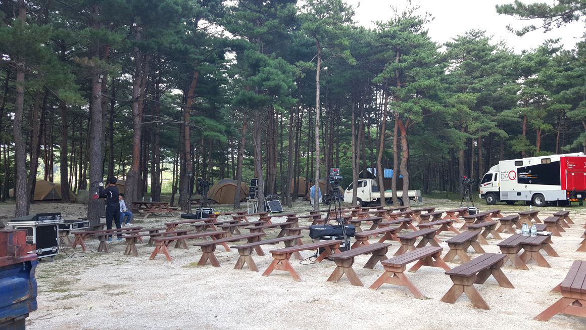 속초 소나무숲 힐링콘서트