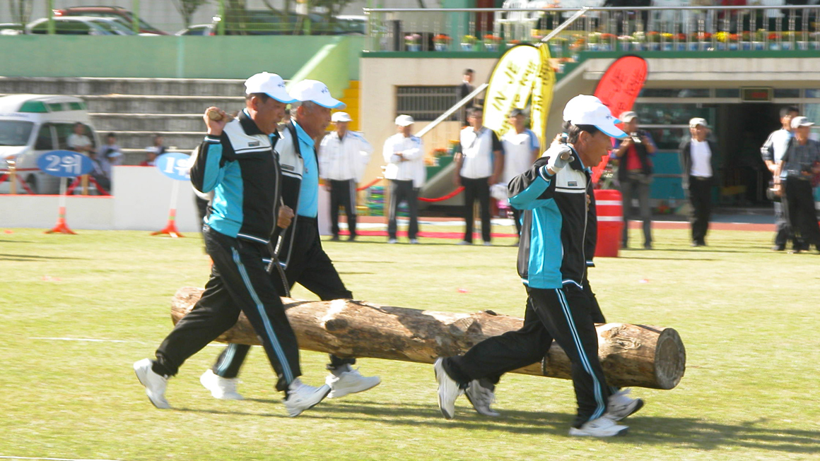 합강문화제 체육대회