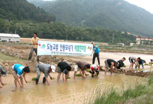 도농교류 전통모내기 체험한마당