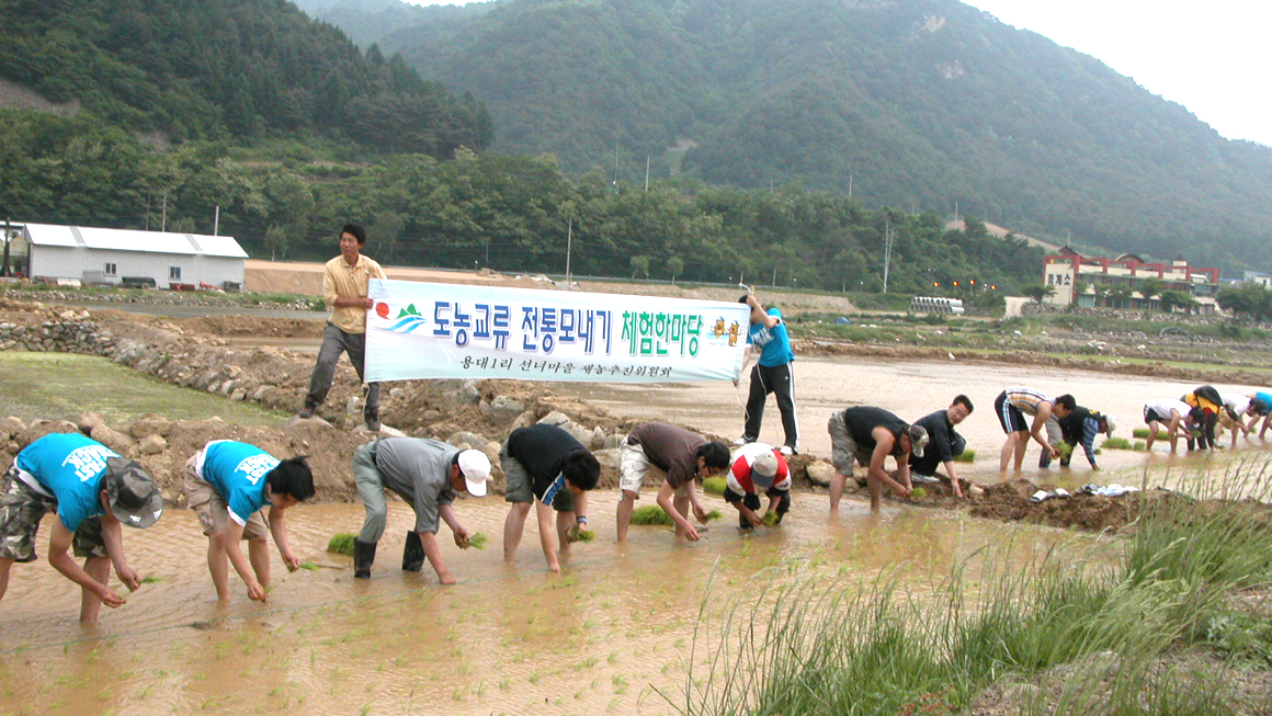 도농교류 전통모내기 체험한마당