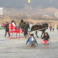 인제 열목어축제
