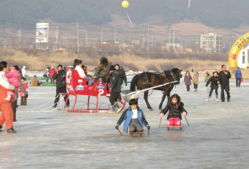 인제 열목어축제