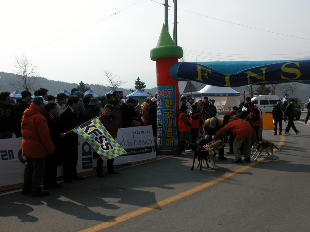 고성 개썰매 대회