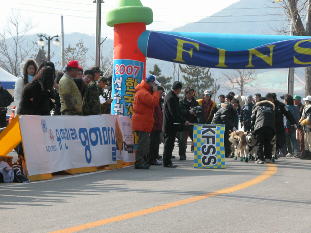 고성 개썰매 대회