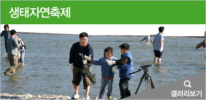 생태자연축제