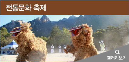 전통문화축제