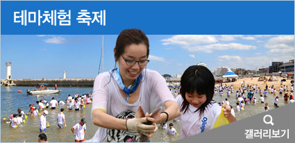 테마체험축제