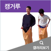 캥거루